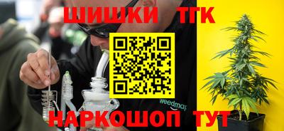 jwh Камышлов